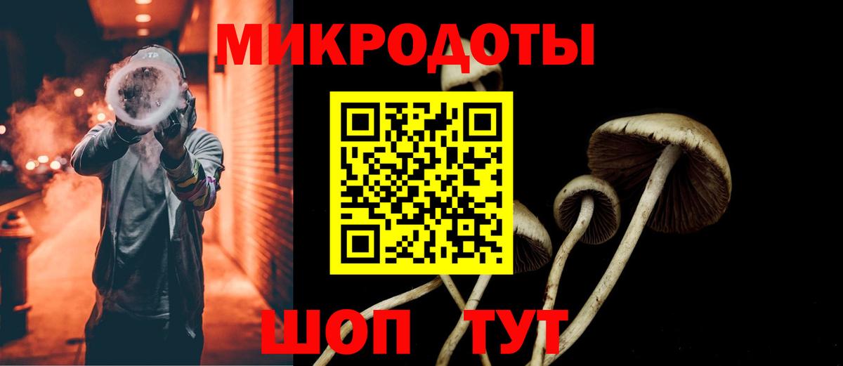 Псилоцибиновые грибы Psilocybe  Галлюциногенные грибы Psilocybine cubensis  Муравленко  Вход с VPN 